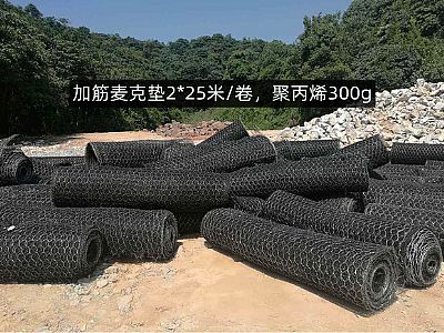 加筋麥克墊網(wǎng)格8*10cm,聚丙烯質(zhì)量300g,多少錢(qián)，怎么賣(mài)？
